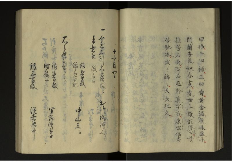 寛政二年八年琉球人来聘 - ページ 21