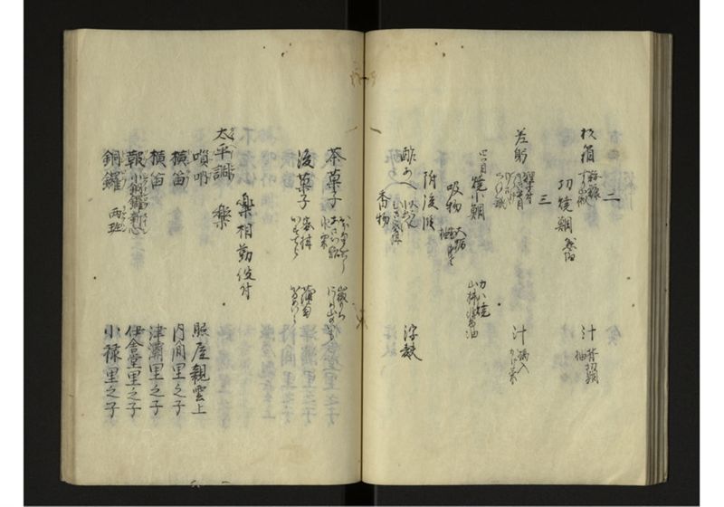 宝永七庚寅年琉球国来聘使日記 - ページ 30