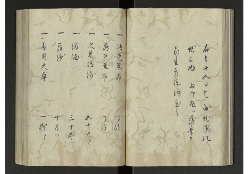 琉球来朝記 自八至十四終 - ページ 43