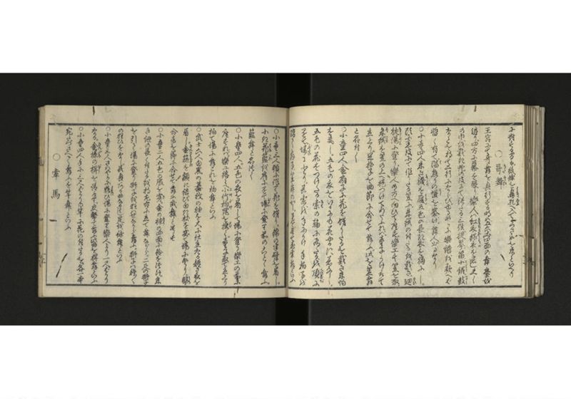 琉球解語 - ページ 14