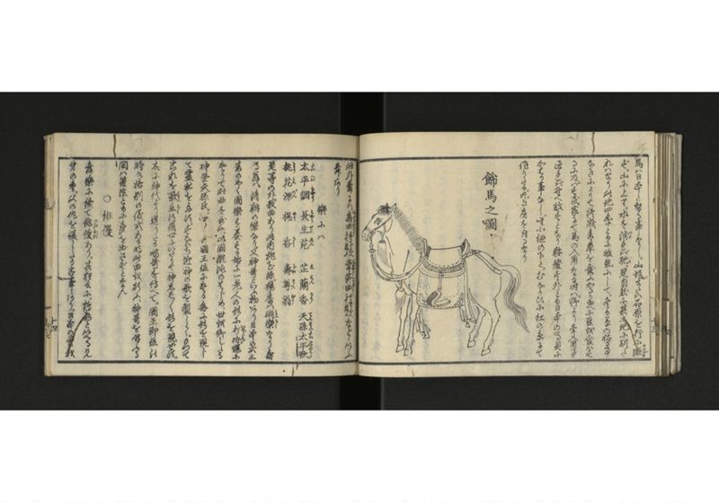 琉球解語 - ページ 15
