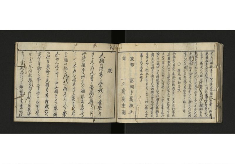 琉球解語 - ページ 19