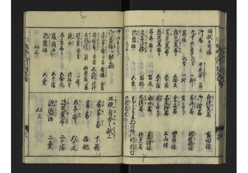 琉球人大行列記 - ページ 21