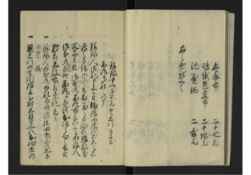 戊辰琉球人来朝之式 全 - ページ 9