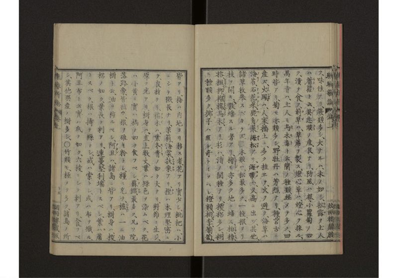 琉球新誌 図附 上 - ページ 21