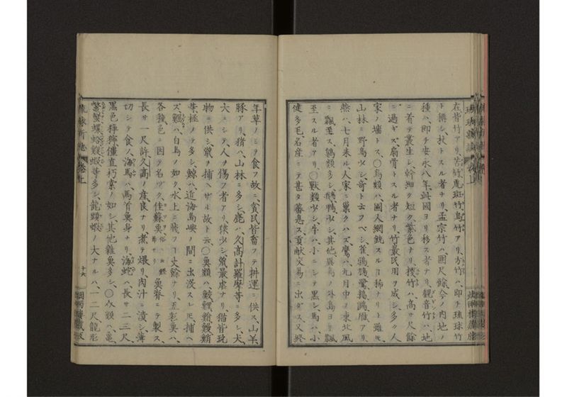 琉球新誌 図附 上 - ページ 22