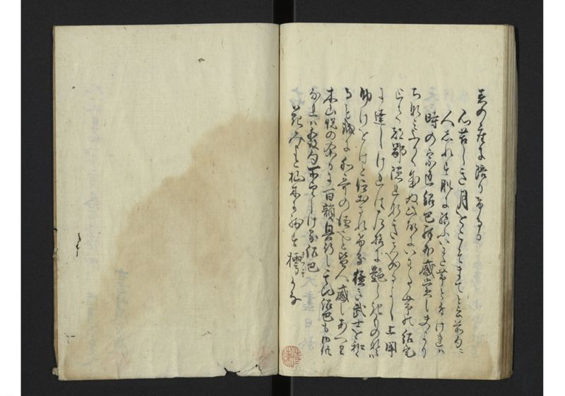 薩州分国演説記 - ページ 44