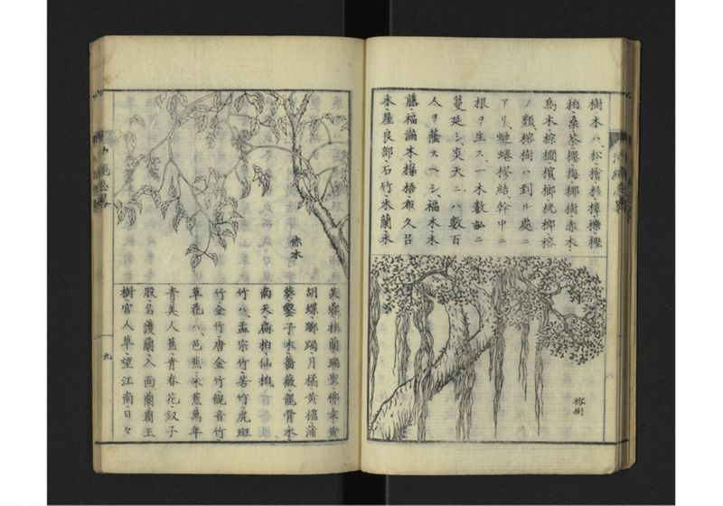 沖縄志略 一名琉球志略 全 - ページ 13