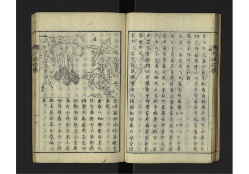 沖縄志略 一名琉球志略 全 - ページ 14