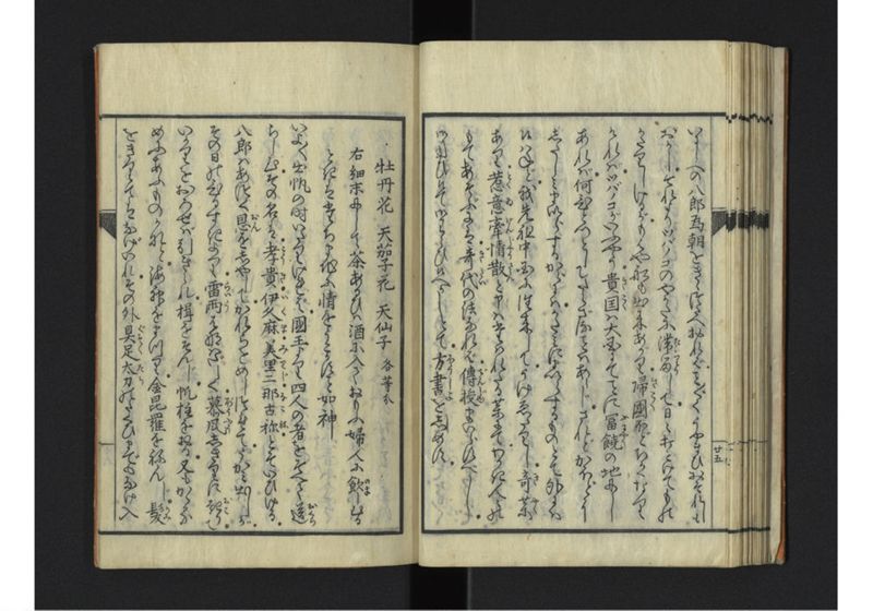 琉球秊代記 附雑話 全 - ページ 30