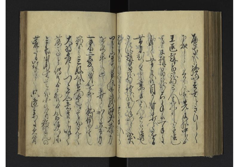 薩琉軍記_全頁 - ページ 117