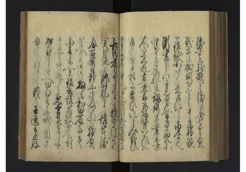 薩琉軍記_全頁 - ページ 118