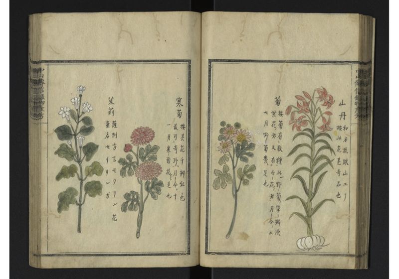 中山伝信録物産考 地 - ページ 21