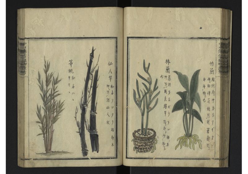 中山伝信録物産考 地 - ページ 26