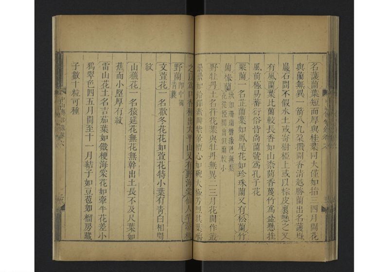 中山伝信録 巻六 - ページ 37