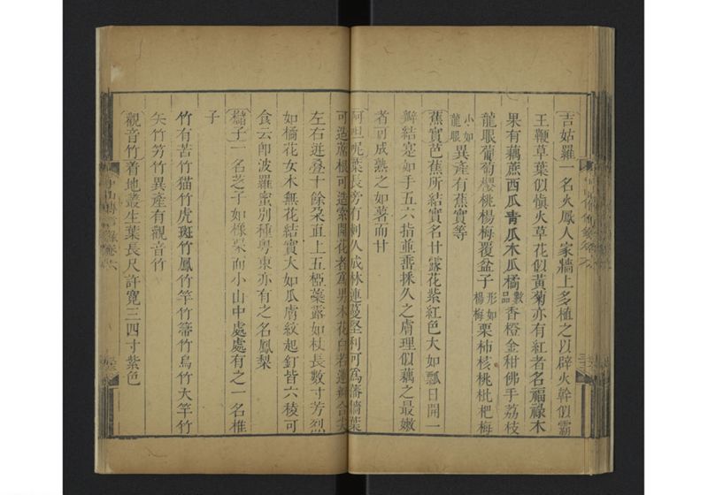 中山伝信録 巻六 - ページ 38