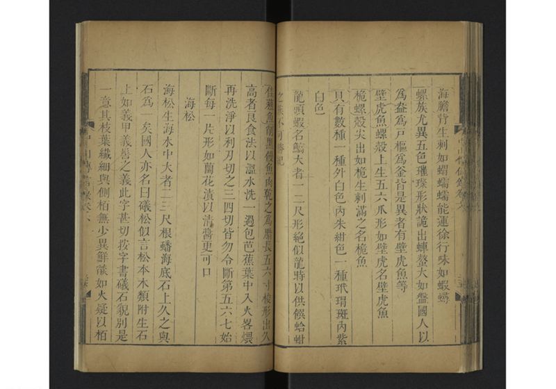 中山伝信録 巻六 - ページ 41