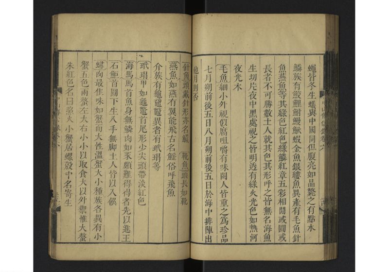 中山伝信録 巻六 - ページ 38