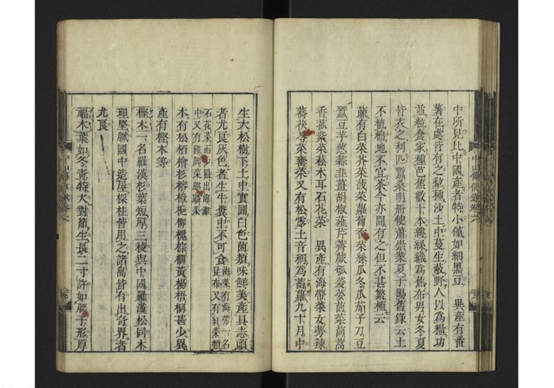 中山伝信録 巻六 - ページ 31