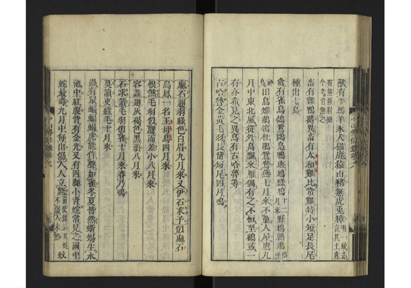 中山伝信録 巻六 - ページ 36