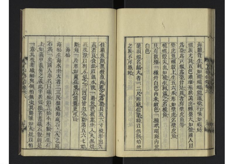 中山伝信録 巻六 - ページ 38