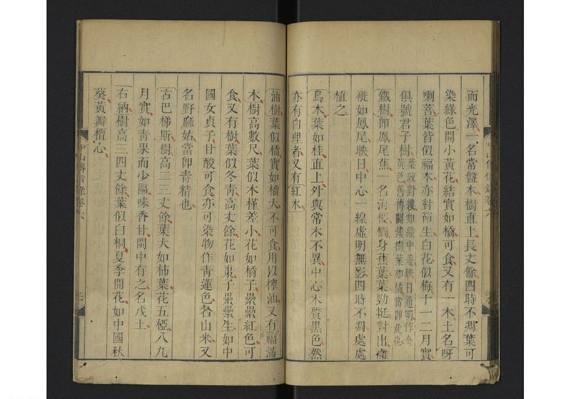 中山伝信録 巻六 - ページ 32