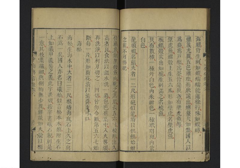 中山伝信録 巻六 - ページ 38