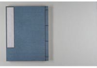 Diary on the surveying of peripheral districts