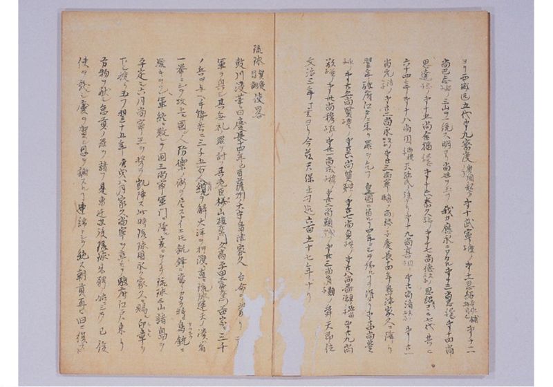 琉球来聘志(仮) 天保十三年 - ページ 5
