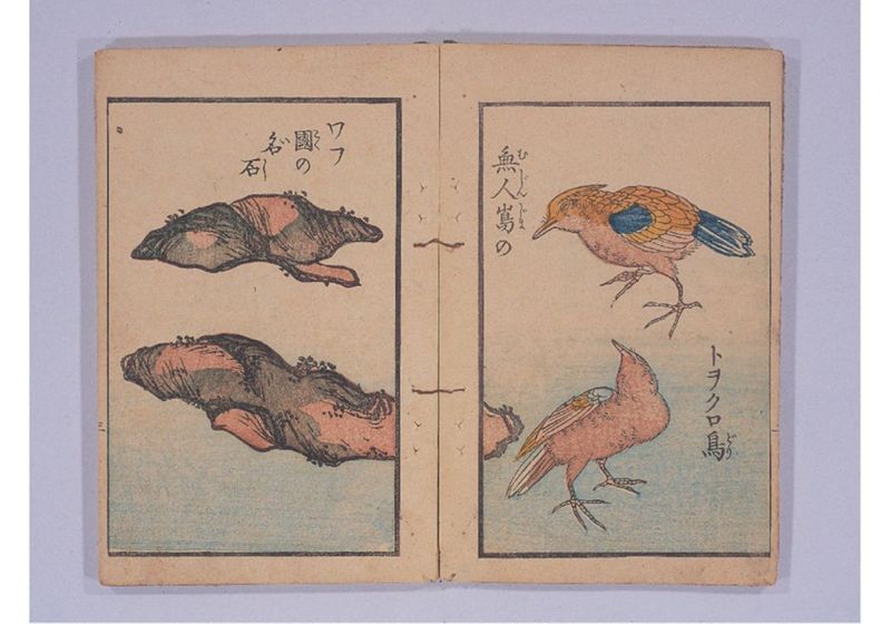満次郎漂流記 - ページ 6