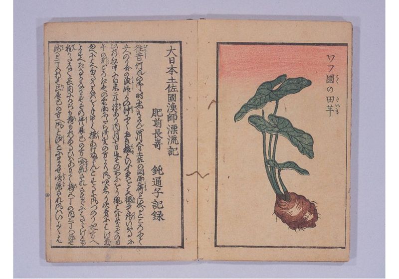 満次郎漂流記 - ページ 7