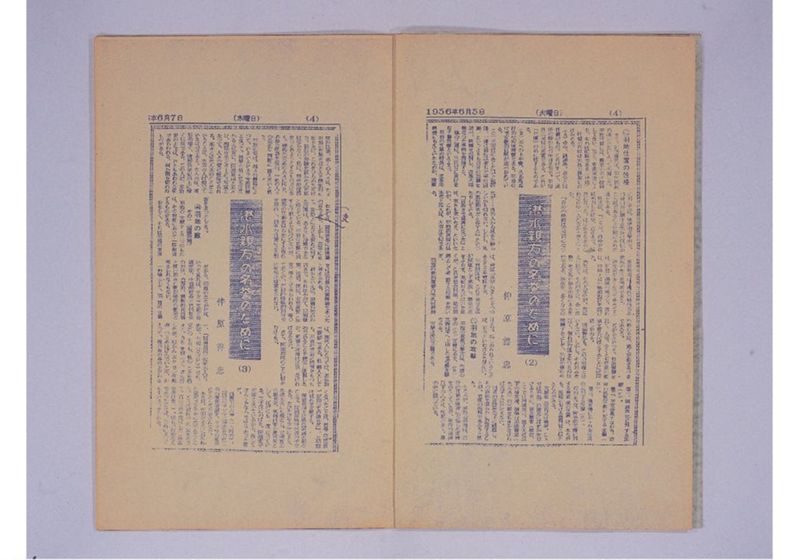 湛水親方の名誉のために - ページ 4