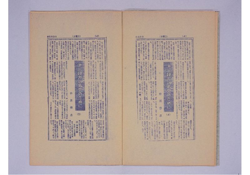 湛水親方の名誉のために - ページ 5