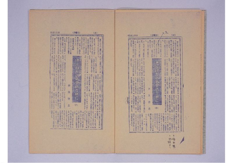 湛水親方の名誉のために - ページ 6