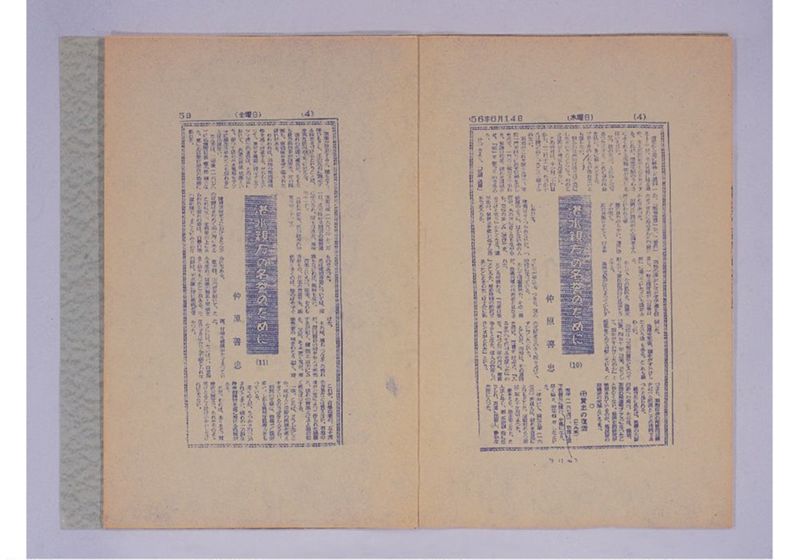 湛水親方の名誉のために - ページ 8
