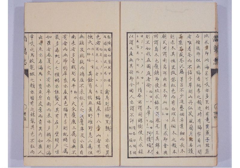 南島志 全 - ページ 45