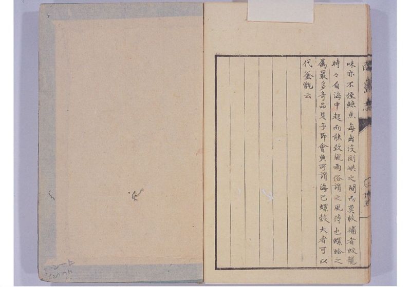 南島志 全 - ページ 46