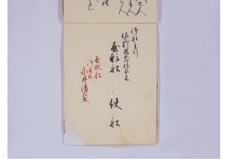 琉球人就来府淀川筋船行列帳 但木津川より大阪御屋敷迄並其外一巻 - ページ 23