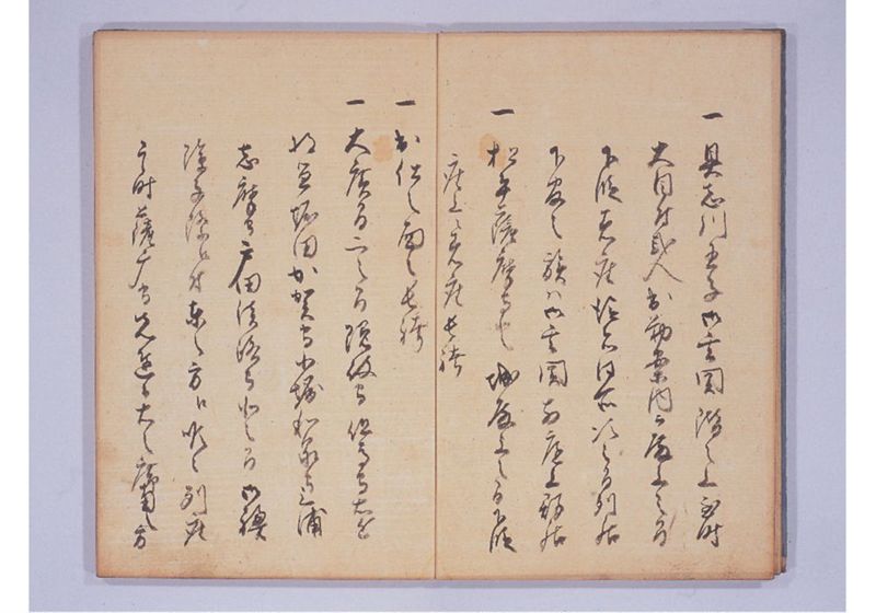 琉球人来朝記 八、九 - ページ 6