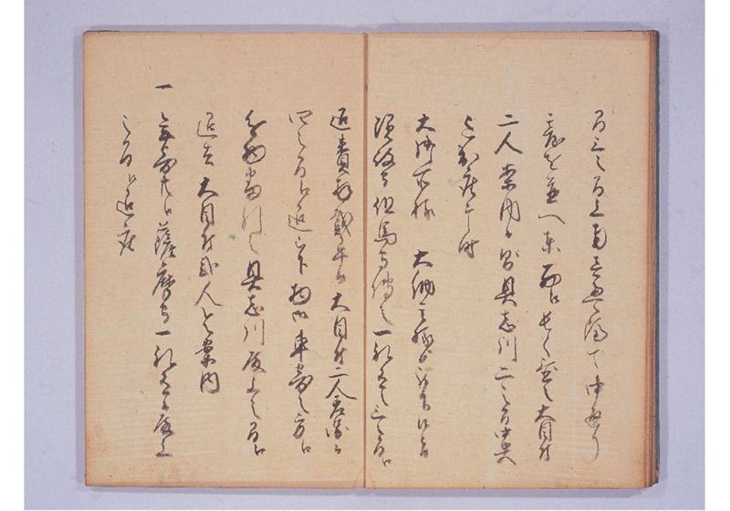琉球人来朝記 八、九 - ページ 9