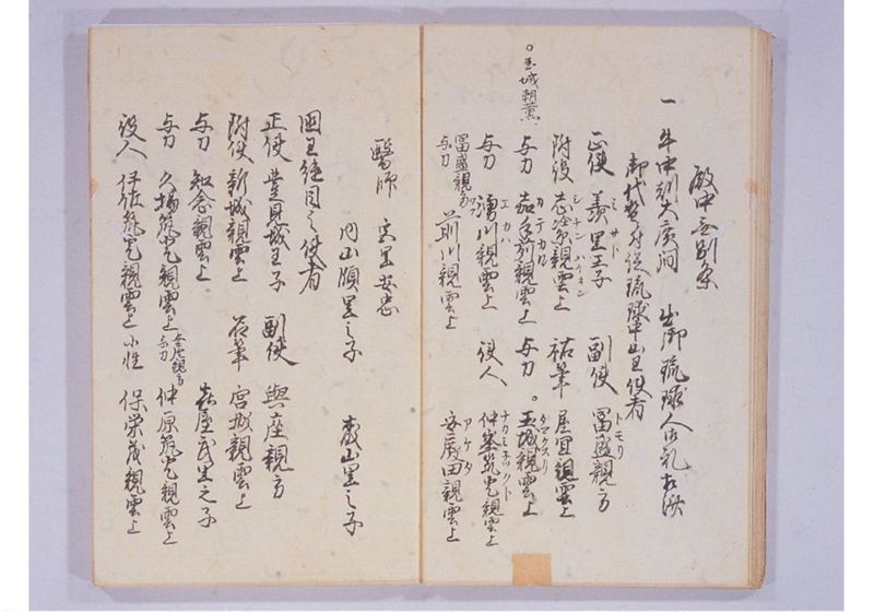 宝永七年 琉球人来聘 - ページ 22