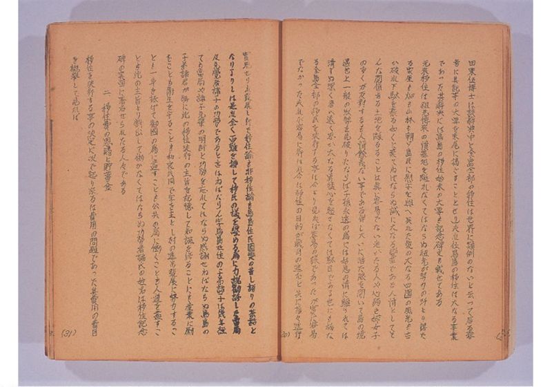 鳥島移住始末 - ページ 19