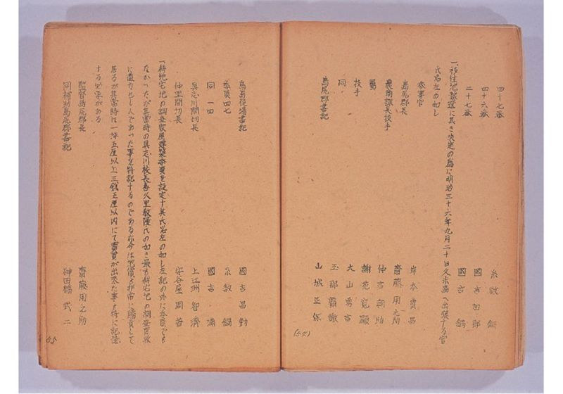 鳥島移住始末 - ページ 31