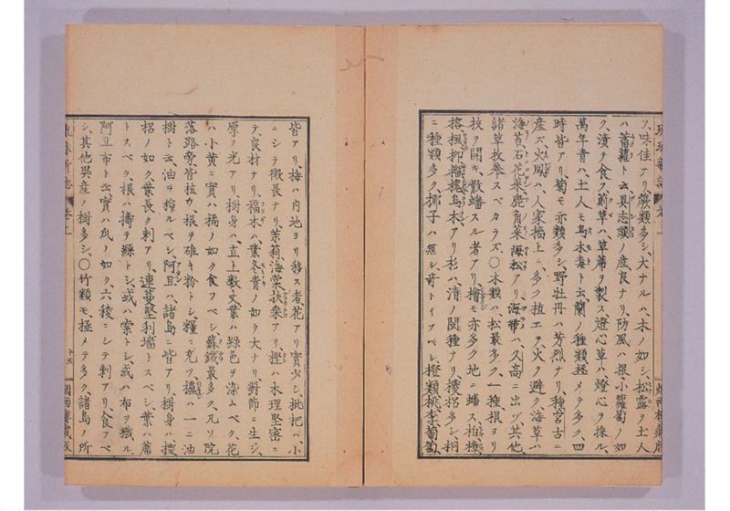 琉球新誌 巻上 - ページ 22