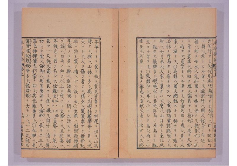 琉球新誌 巻上 - ページ 23